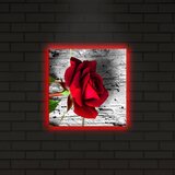 Wallity Slika sa LED osvetljenjem 2828DACT-1, 28x28 cm | ePonuda.com