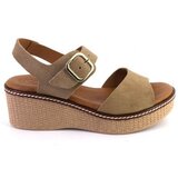 Zapp 2661 Smeđa | shoptok.hr