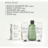 Baylis & Harding Wellness. Energise poklon set Ginger, Lime & Basil Leaf | shoptok.hr