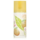 Elizabeth Arden Green Tea Citron Freesia Eau De Toilette 100 ml (unisex) | shoptok.hr