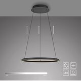 SCHÖNER WOHNEN 15570-18-LED luster na lanku QUILLO LED/36W/230V, prečnik 60 cm, sa prigušivačem, crni | Eponuda.com