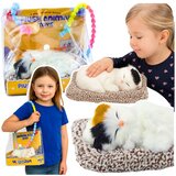  Mačka koja spava na jastuku sa zvučnim efektima - bijelo/crno/smeđa | Shoptok.si