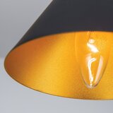 Orion Luster na sajli GUNDA 1xE14/40W/230V prečnik 16,5 cm crna/zlatna | Eponuda.com