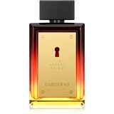 BANDERAS The Secret Privé parfumska voda za moške 100 ml Cene