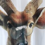 Msv Zavesa za tuš 180x200 cm Nyala – | Shoptok.si