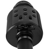  Otroški mikrofon za karaoke Model WS-858 - črn | Shoptok.si