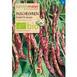 BIO francoski fižol "Borlotto rosso"