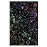 Conceptum Hypnose tepih HMNT489, 100x200cm, šareni | Eponuda.ba