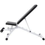 Fitness Klupa za Vježbanje | shoptok.hr