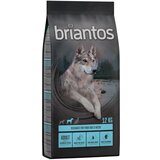 briantos Adult losos in krompir – BREZ ŽIT - 12 kg Cene