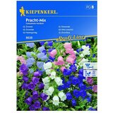 KIEPENKERL Sjeme cvijeća Vrtni zvončić Mix (Campanula medium, Raznobojno) | shoptok.hr