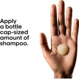 L´Oréal Paris L’oreal Professionnel Absolut Repair Šampon Refill 500ml | shoptok.hr
