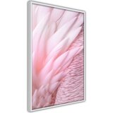  Poster - Pink Feathers 30x45 | shoptok.hr