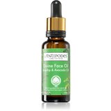 Antipodes Divine Face Oil Rosehip & Avocado Oil zaščitni serum proti prvim znakom staranja kože 30 ml | Shoptok.si