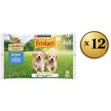 Friskies Vlažna hrana za pse junior dog prelivi u želeu Meso, 48x85g Cene