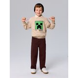 Sinsay Crewneck majica s pamukom Minecraft | shoptok.hr