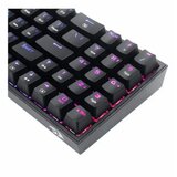 Redragon Gaming tastatura Pollux RGB Cene