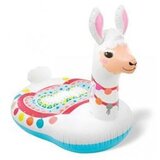  Dušek slatka Lam 57564NP | Eponuda.ba