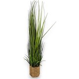 Lilium trava u saksiji 80cm 144555 | Eponuda.com