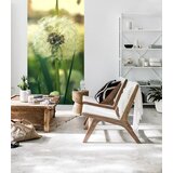  Foto tapete za zid + lepak za tapete - cveće (popust) Cene