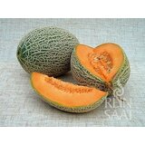 ReinSaat Melona "Best Jumbo" | Shoptok.si