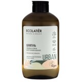 ECOLATIER šampon za kosu sa aloja verom, vitaminima b i biljnim proteinima za volumen kose Cene