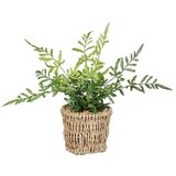  Umjetna biljka Paprat (Visina: 26 cm, Plastika) Cijene