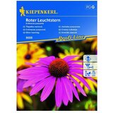 KIEPENKERL Profi-Line Sjeme cvijeća Crvena rudbekija (Echinacea purpurea, Crvena) | shoptok.hr
