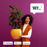Wiz Komplet 3x LED RGBW prigušiva sijalica PAR16 GU10/4,7W/230V 2200-6500K Wi-Fi - WiZ | Eponuda.com