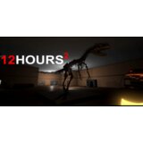  12 hours 2 (pc) steam key global | ePonuda.com
