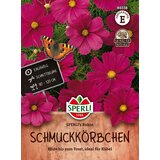  Pernatolistna kozmeja "Rubin" - 1 pkt. Cene