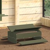 Feeder s nogom za piliće Maslinasto zelena 75 x 53 x 20,5 cm u
