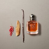 Giorgio Armani Stronger With You Intensely EDP 50ml | Eponuda.com