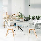 MID.YOU Umetna Rastlina Zamie | Shoptok.si