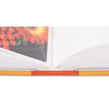  Foto album Memories 1, 100 slik | Shoptok.si
