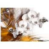  Tapeta - Orchid on fire 300x210 | shoptok.hr