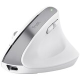 Trust bayo+ (bela) ergonomična brezžična miška, (21381317) | Shoptok.si
