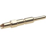  EPIC® SIGNAL M23 muški kontakt 2 mm LappKabel sadržaj: 10 kom. | Eponuda.ba