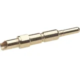  EPIC® SIGNAL M23 muški kontakt 2 mm LappKabel sadržaj: 10 kom.