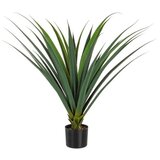  BILJKA RUSKUS 90CM ZELENA | Eponuda.ba