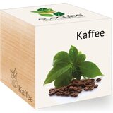 Feel Green ecocube "Exotics" - kava Cene