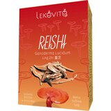 Lekovito reishi sušene 50g dehidrirane gljive | Eponuda.com