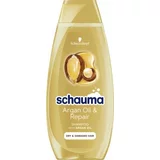 Schauma Argan Oil & Repair Shampoo šampon za poškodovane lase za suhe lase 400 ml za ženske
