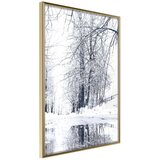  Poster - Snowy Park 30x45 Cijene