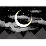  Foto tapeta - Night Glow 300x210 Premium | shoptok.hr