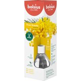 Bolsius Dišava za sobo True Scents 60ml - mimoza | Shoptok.si