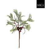 Mömax Okrasna Vejica 1203279 Cene