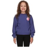 Champion pulover DR 405328-BS548 D modra 104 Cene