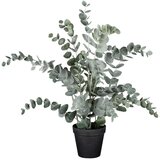 Modern Living Umetna Rastlina Eucalypthus Ii -Paz- -Ext- Cene