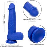 California Exotic Novelties Vibracijski penis Admiral 8 - Captain (R14813) | Shoptok.si